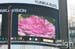 2010-01-26-shinjyuku-010