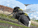 2011-09-12-cornwall-019