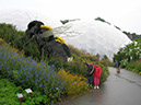 2011-09-12-cornwall-018