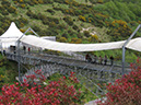2011-09-12-cornwall-004