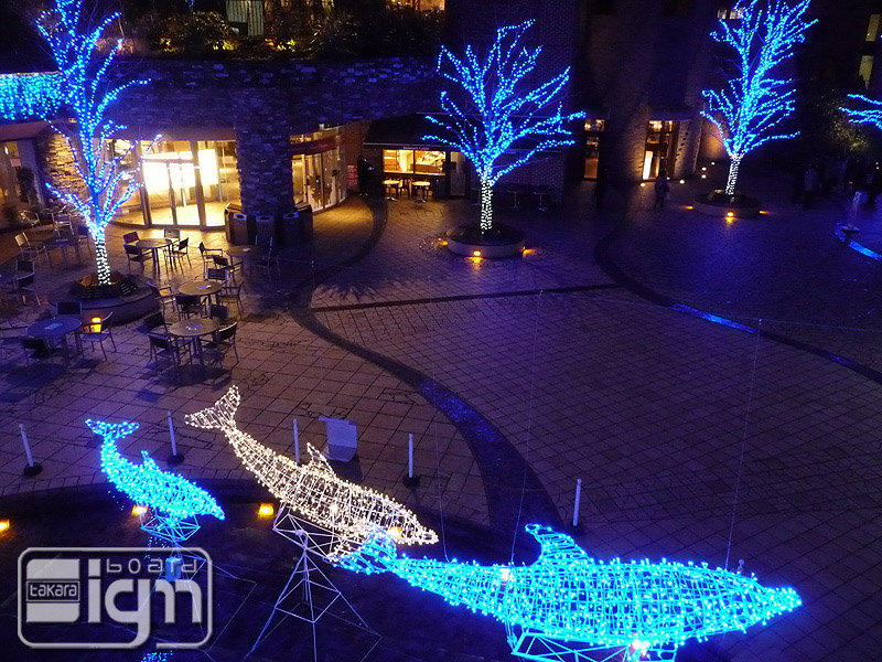 2011-12-22-harumi-004