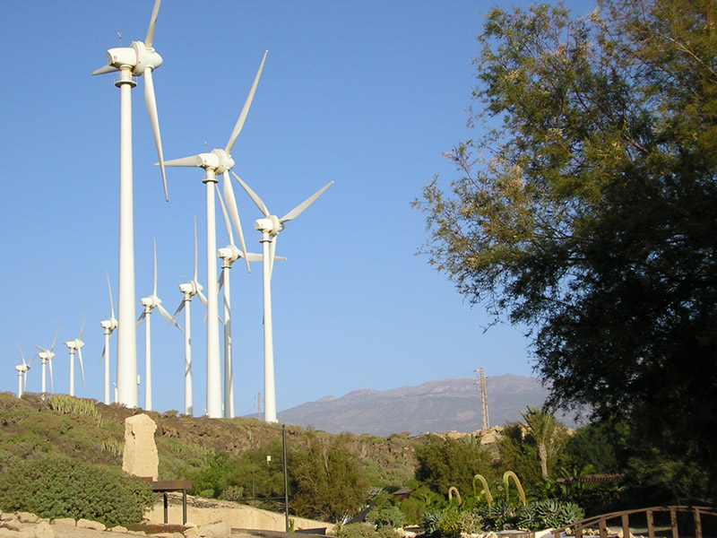 2012-02-20-tenerife-005