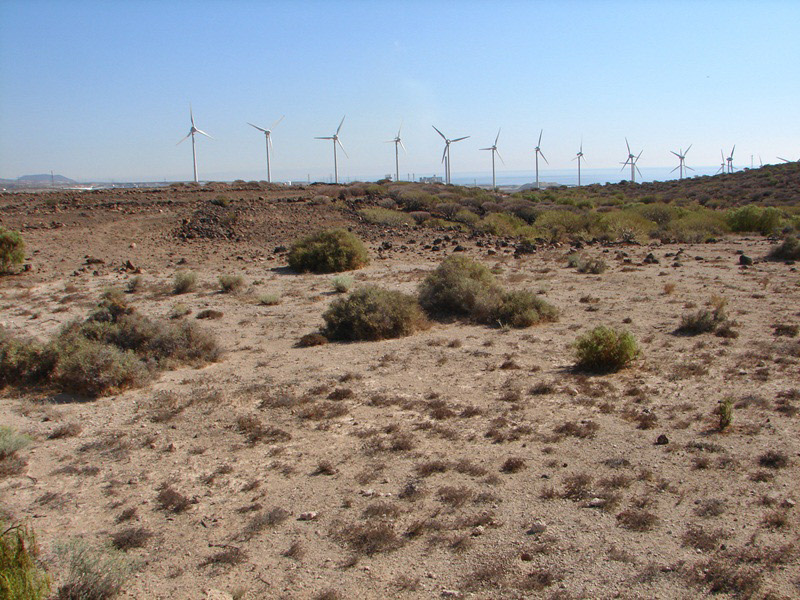 2012-02-20-tenerife-004