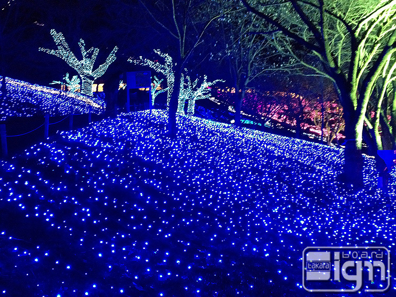 2012-04-10-sagamihara-007