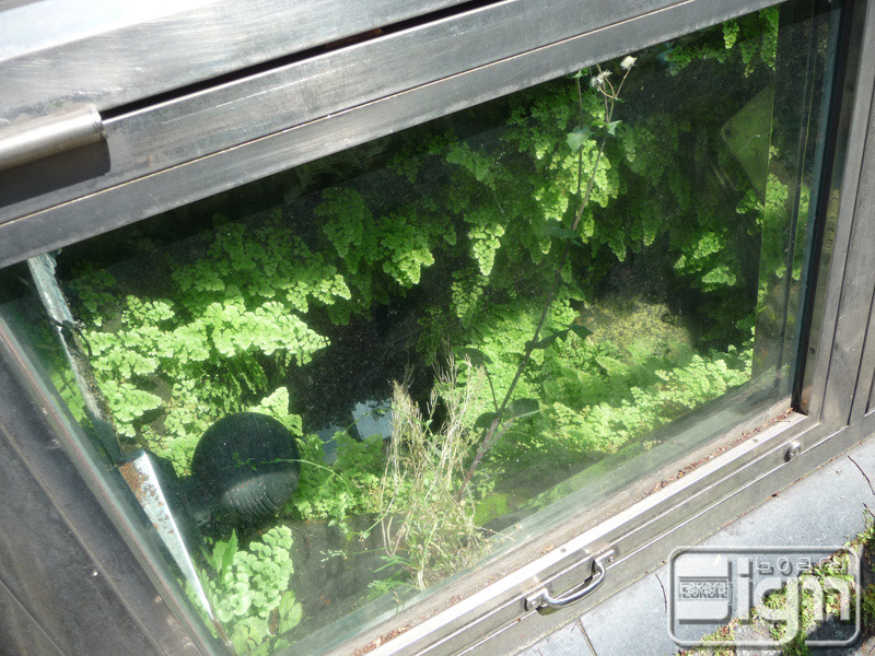 2012-05-25-yokohama-013