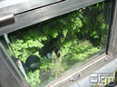 2012-05-25-yokohama-013