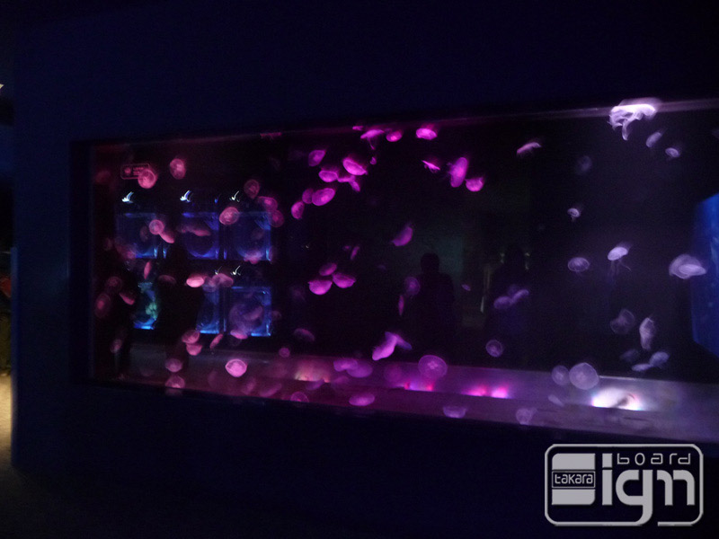 2013-05-17-oshiage-004