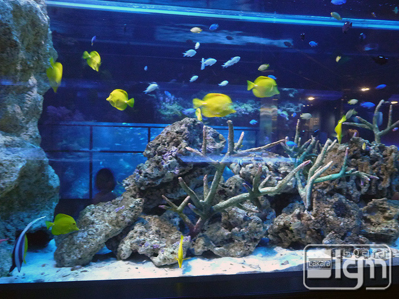 2013-05-17-oshiage-008