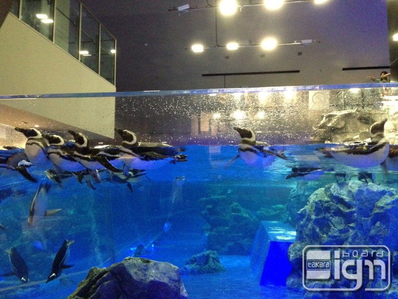 2013-05-17-oshiage-014