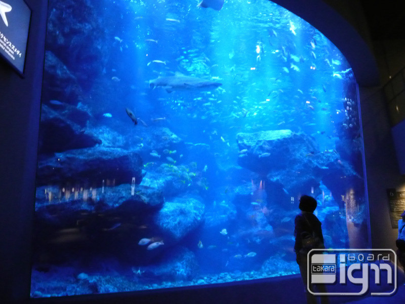 2013-05-17-oshiage-007