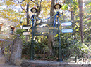 2013-12-11-mitaka-003